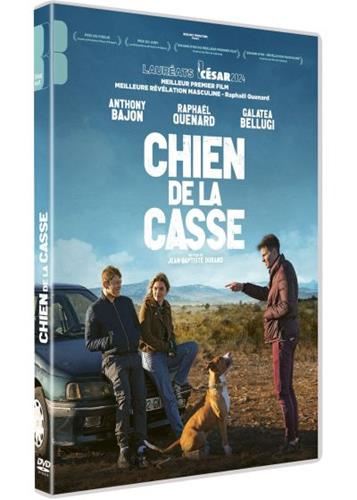 Chien de la casse